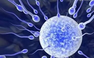 三代试管婴儿女人要遭哪些罪？