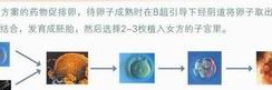 北京海军总医院三代试管成功率高吗？海军总医院三代试管要多少钱？